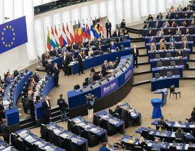 Miniatura: Wybory do Parlamentu Europejskiego. Ile...