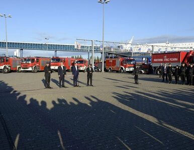 Miniatura: Polscy strażacy wrócili ze Szwecji....