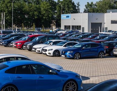 Miniatura: Kto w Polsce sprzedaje najwięcej aut z...